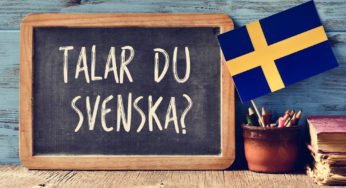 Guide: Scandinavian Schools in the U.S.