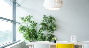 Influencer Fakes Entire Trip To Bali In An IKEA Store