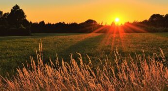 Sweden ditches Harvard experiment to dim the sun funded by Bill Gates