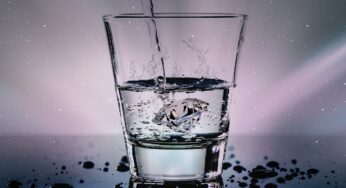 The world’s most expensive drink has a hint of Sweden in it