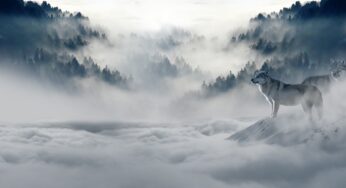 The coldest day ever recorded in Swedish history